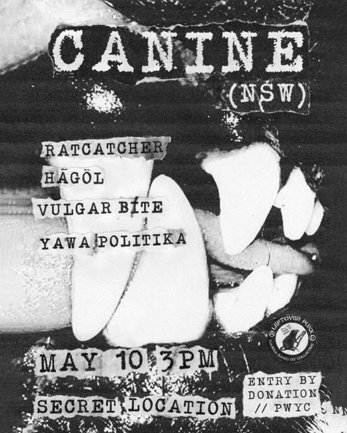 CANINE (Gadigal Country) @ sharehouse