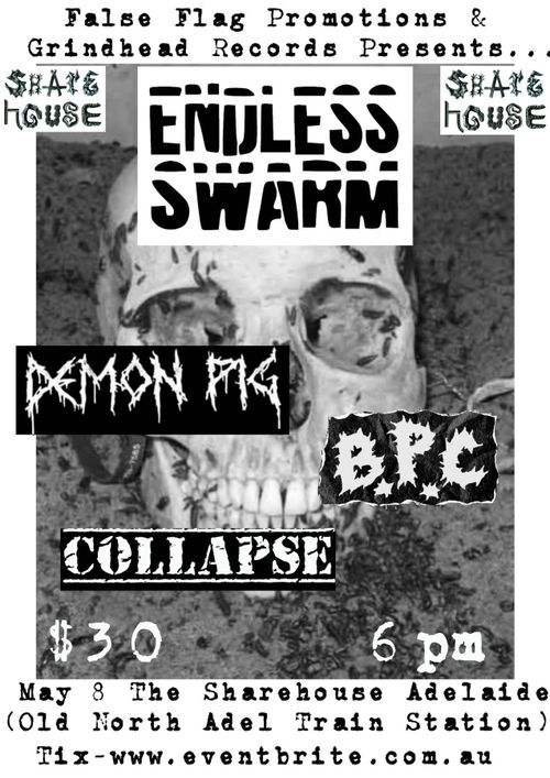 ENDLESS SWARM @ THE SHAREHOUSE